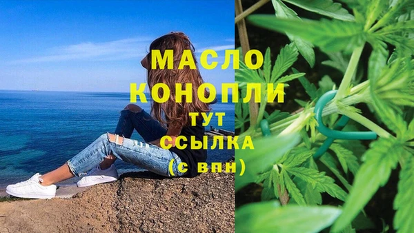 дмт Осташков