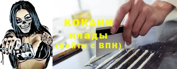 дмт Осташков