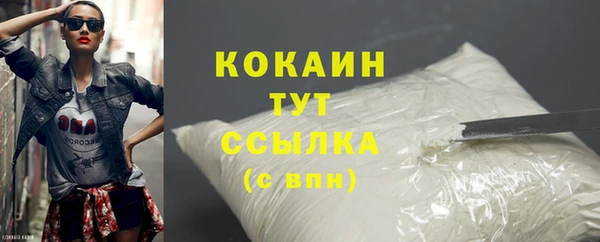 твердый Осинники