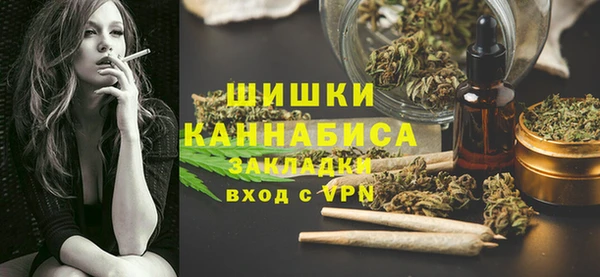 твердый Осинники