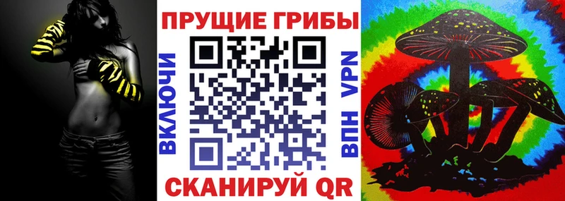 Галлюциногенные грибы Psilocybe  даркнет сайт  Макушино 